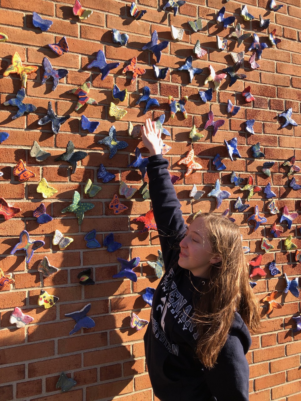 Programming Guidelines - The Butterfly Project